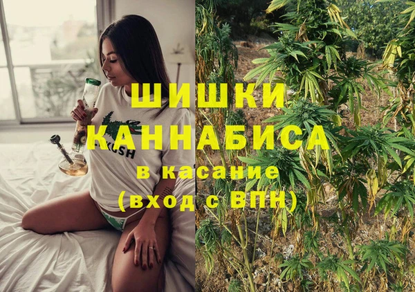 соль ск Тавда